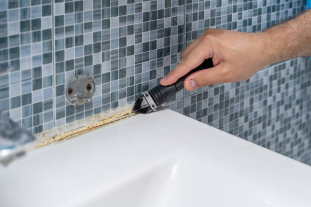 Best Preventive Mold Services in Leavittsburg, OH
