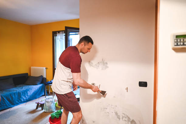 Best Post-Remediation Services in Leavittsburg, OH